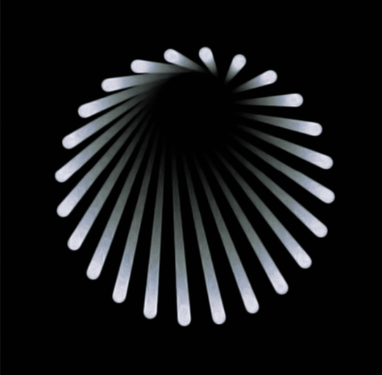 Intrinsic Attribution